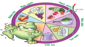 Đảm bảo vệ sinh an toàn thực phẩm phòng chống dịch  bệnh đường tiêu hoá 